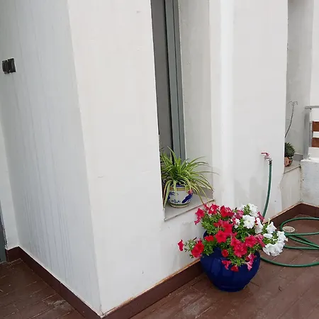 Kate View فيلة *