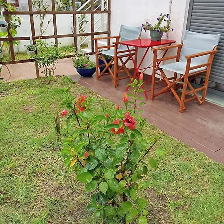 فيلة Kate View Ratzaklíon